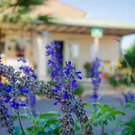 Campsite 4 Etoiles - Piscine - Ccbbecd *