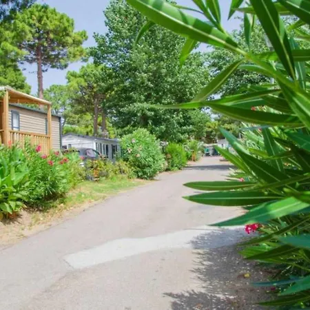 Campsite 4 Etoiles - Piscine - Ccbbecd *