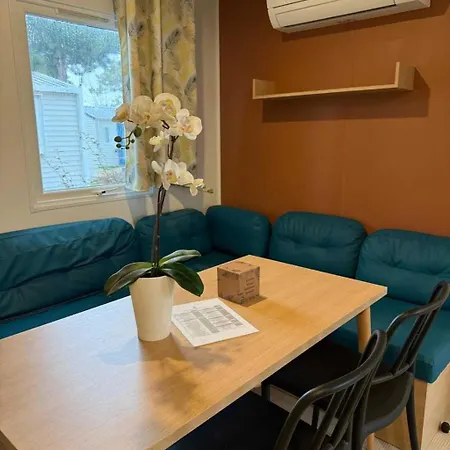 4 étoiles - Piscine - Ccbbecd Camping