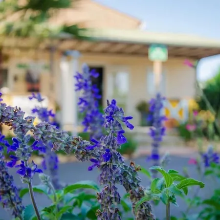 4 étoiles - Piscine - Ccbbecd