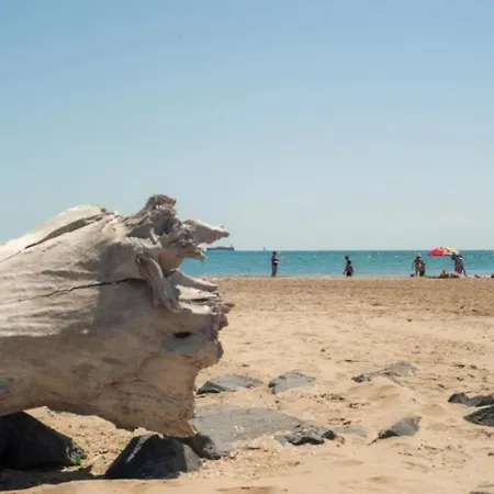 4 étoiles - Piscine - Ccbbecd Camping Le Grau-dʼAgde