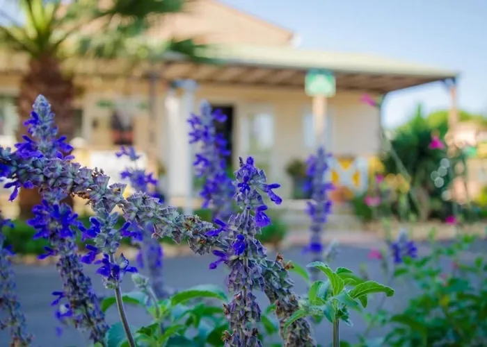 4 Etoiles - Piscine - Ccbbecd