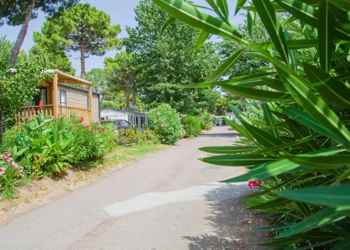 4 Etoiles - Piscine - Ccbbecd