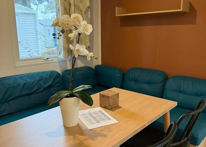 4 Etoiles - Piscine - Ccbbecd Parque de Campismo Le Grau-dʼAgde