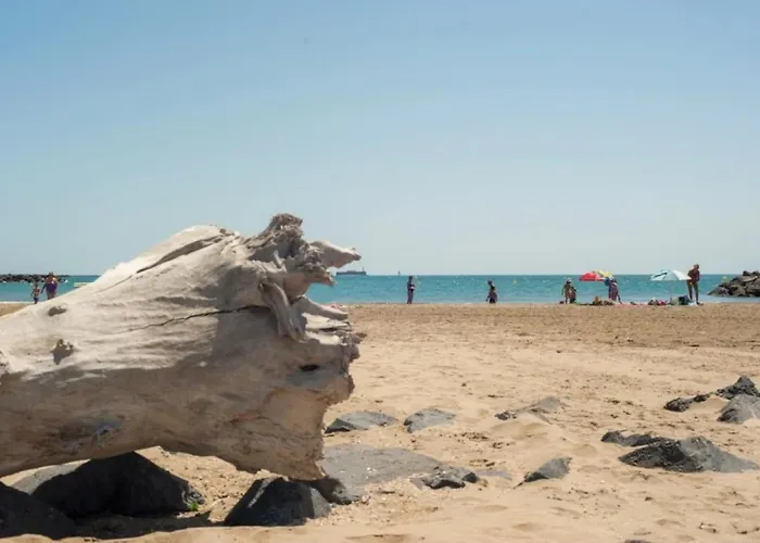 4 Etoiles - Piscine - Ccbbecd مكان تخييم Le Grau-dʼAgde
