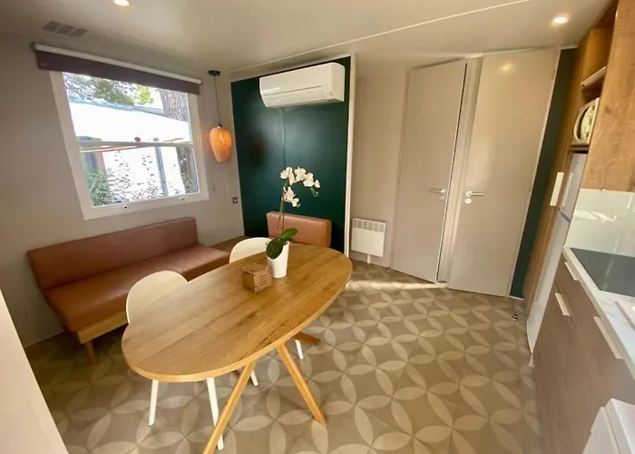 4 Etoiles - Piscine - Ccbbecd Parque de Campismo Le Grau-dʼAgde